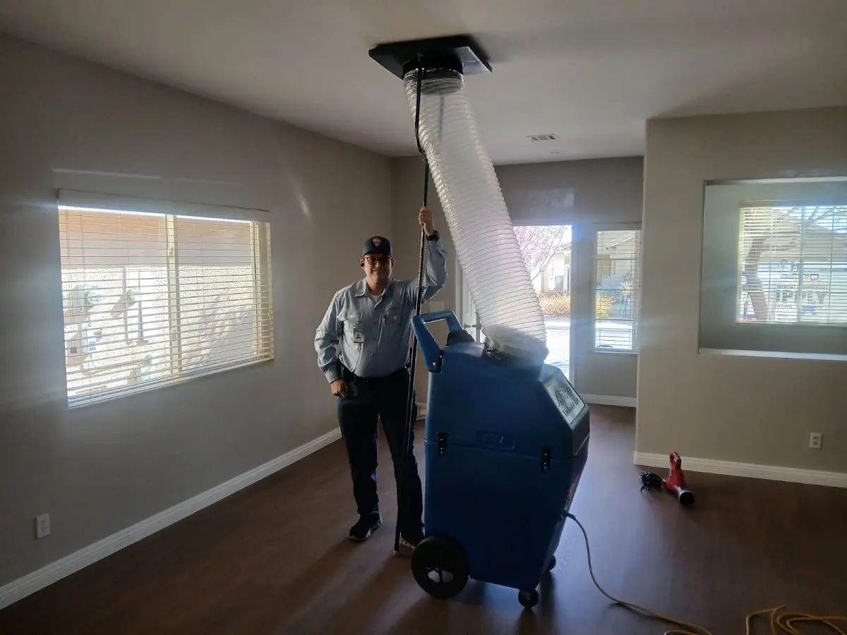 Professional Dryer Vent Cleaning work inside a Mantua home